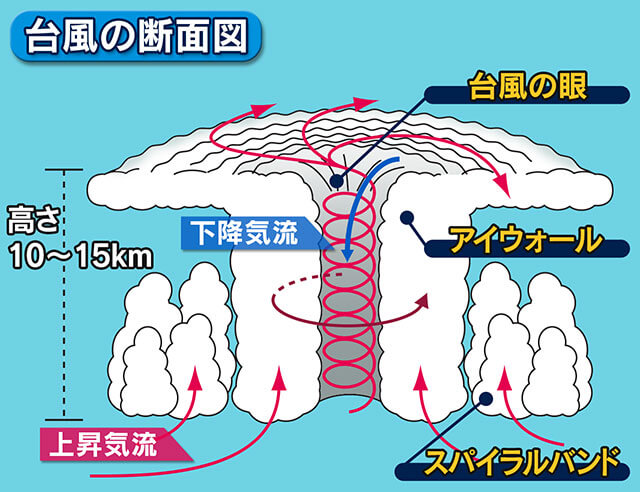 台風の断面図